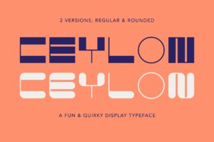 Ceylon: The Fun Display Font Duo for Small Business Branding