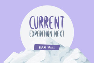 Current Expedition Next: The Premium Font for Modern Business Branding