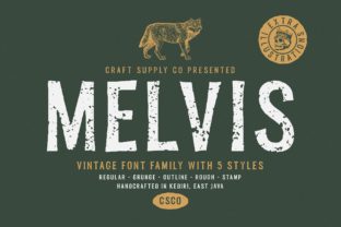 Melvis Family: The Vintage Display Font for Scroll-Stopping Brand Identity