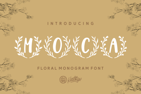 Moca: The Premium Display Font for Scroll-Stopping Visuals