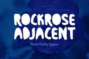 Rockrose Adjacent: The Display Font for Handmade Creators